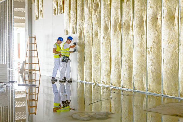 Professional Insulation Contractor in NE